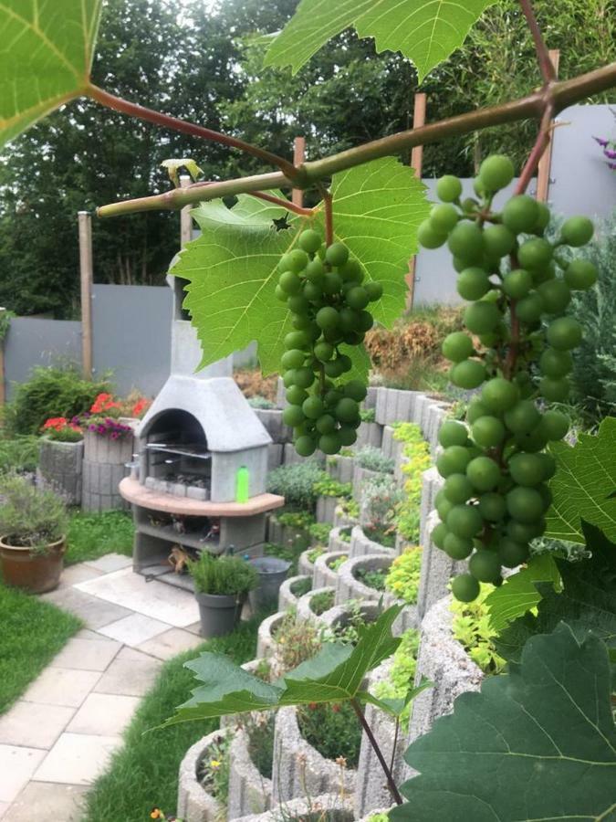Ferienwohnungen Traubeneiche Remagen Exteriör bild